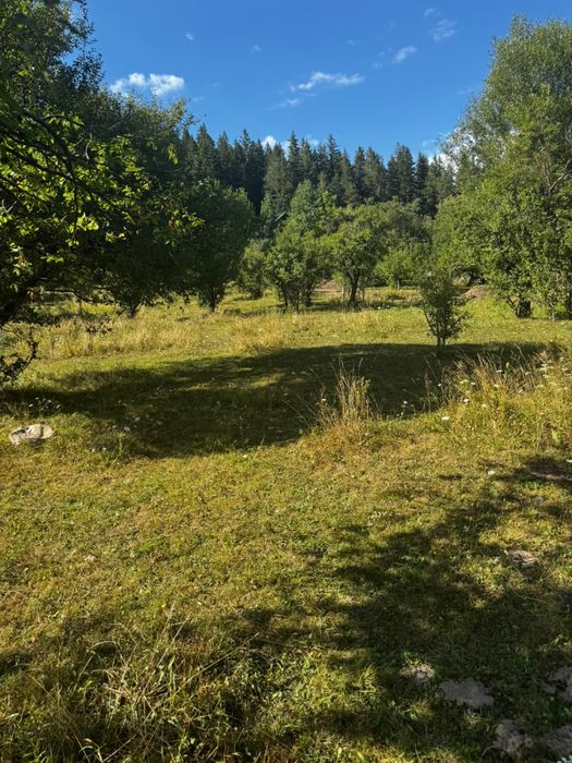VAND MOTEL SOVEJA - 1.500 MP UTILI + TEREN 4.200 MP - 250.000€