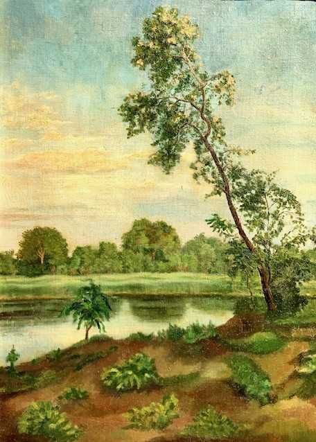 Tablou foarte VECHI, ulei/panza/carton, 75x55cm+rama, semnat.