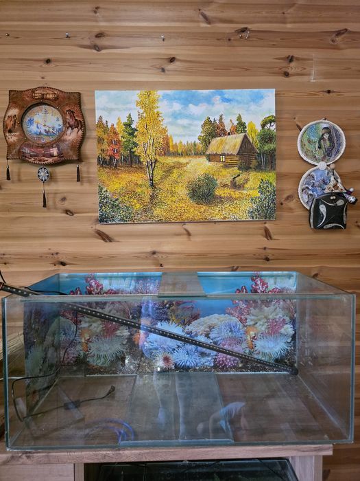 Продам аквариум самовывоз