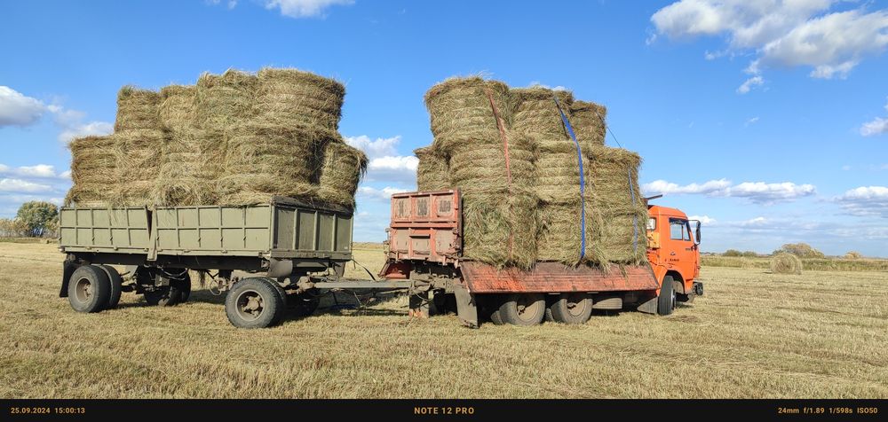 Продам сено Луговое 7 тыс с доставкой