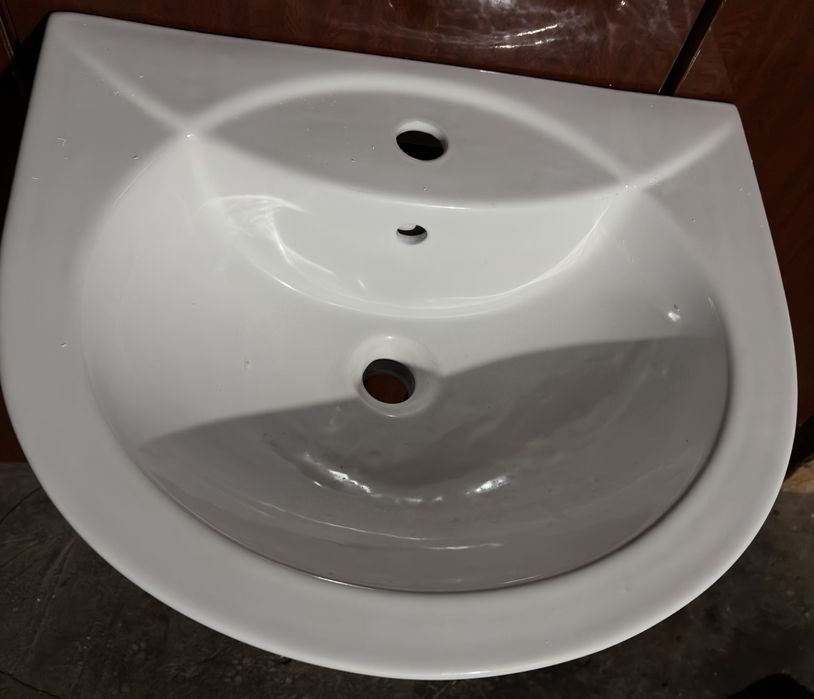 Раковина тюльпан