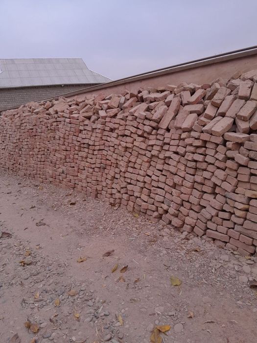 Pishtgan gisht rassiya