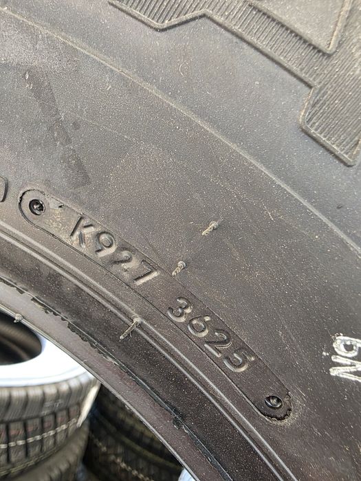 Ласса газель зимный