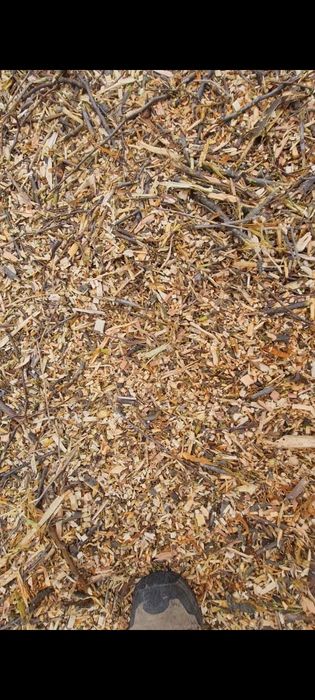 Бързо извозване на храсти и отпадъци с камион  щипка

камион