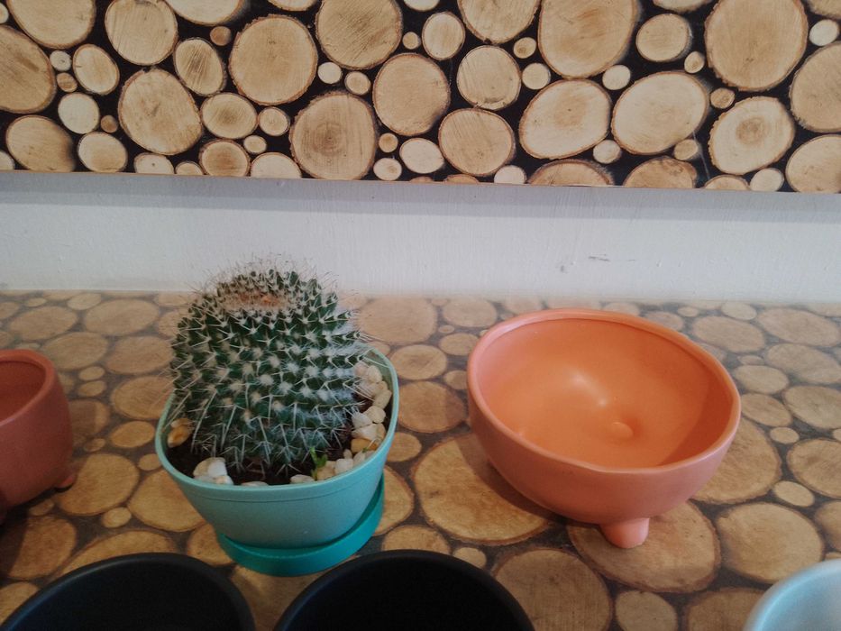 продавам работни саксии и керамични кашпи