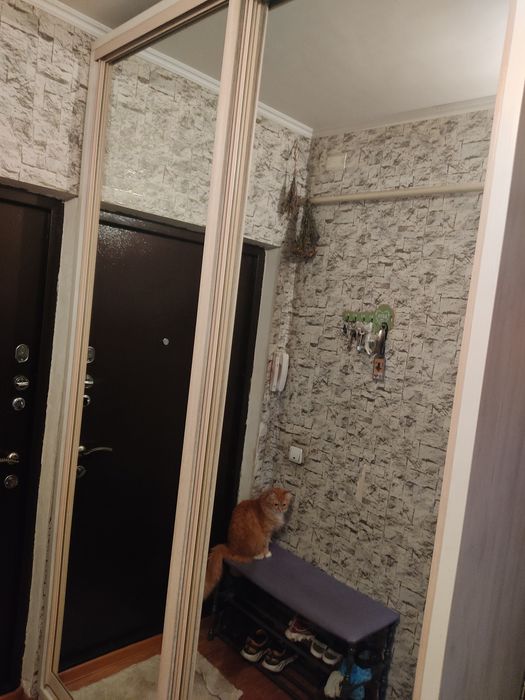 Шкаф -купе в прихожую