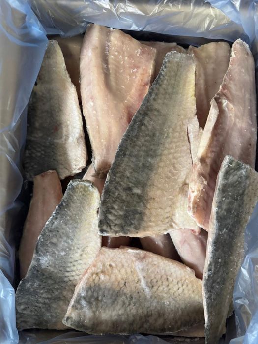 Рыба ВКО озеро Зайсан