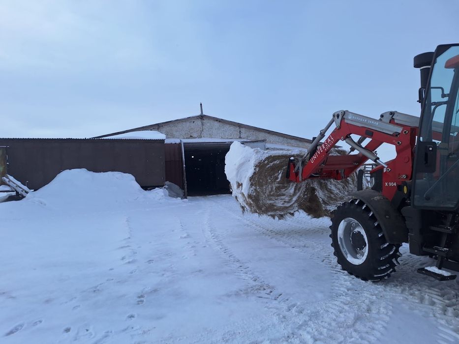 Фермерское хозяйство