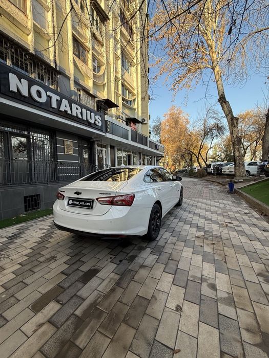 Пример 2020 краска бор холати зўр