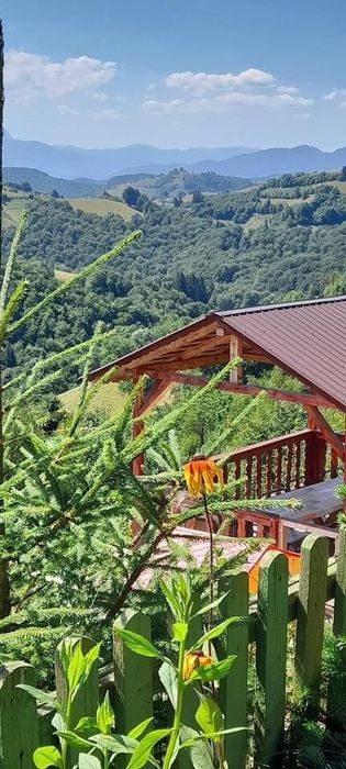 Cabana de închiriat