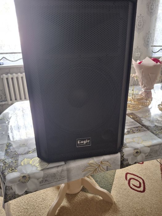 Калонки  эстрадный в хорошем состоянии почти новый