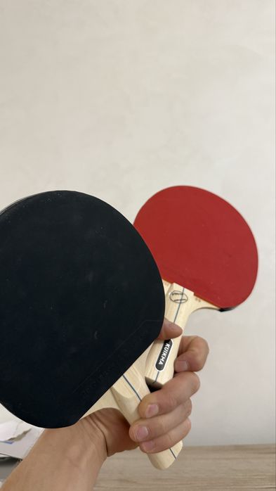 Set palete de tenis de masa