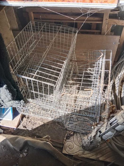 клетки для птиц перепелов