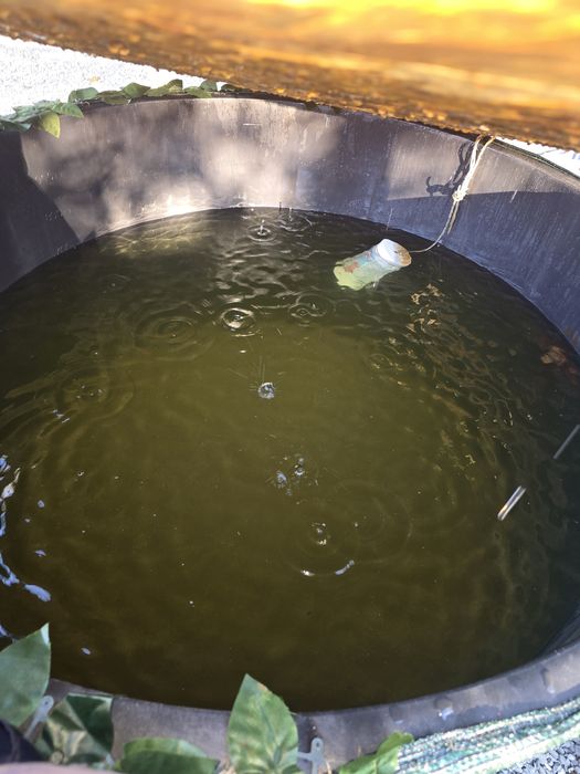 Ciubar artizanal cu capac