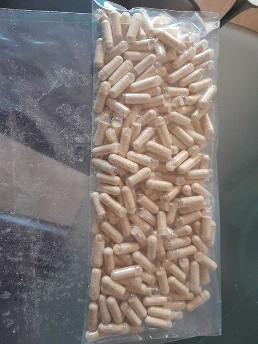 Домашно отгледани гъби Лъвска грива | Hericium erinaceus