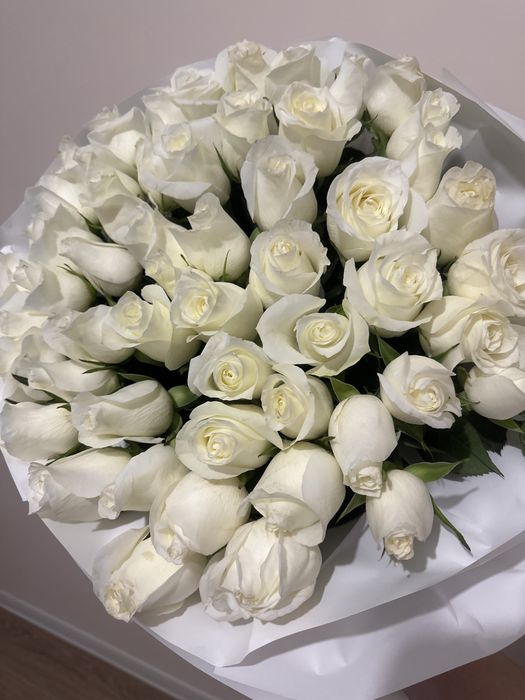Белые розы 55 штук