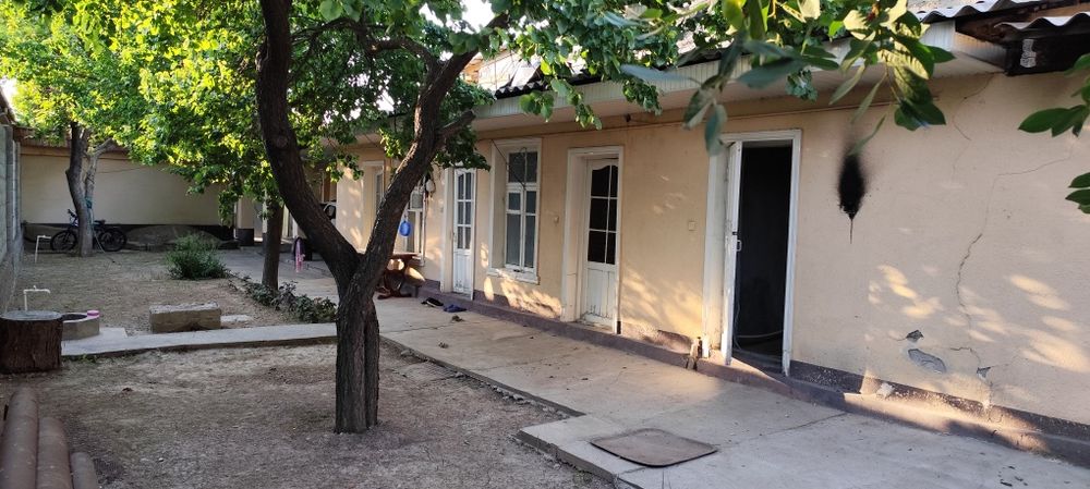 Арзон ховли (ер хисобида)3,17сот. Ўзимники 1 сотихи 25700$. Яхши ўқинг