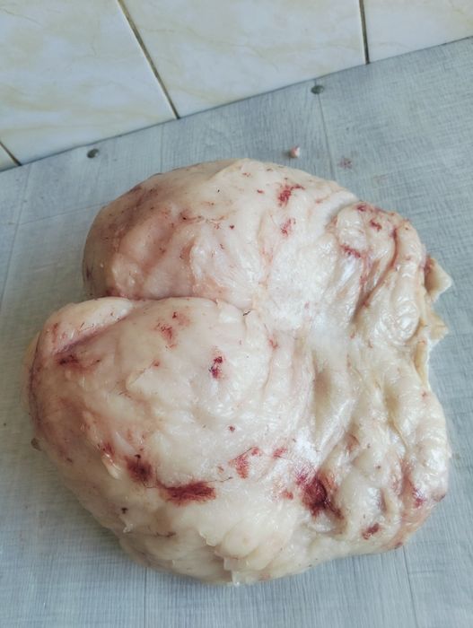 Продам курдюк свежий