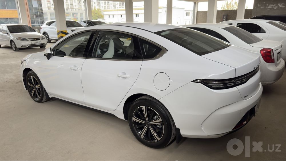 BYD chazor 2026