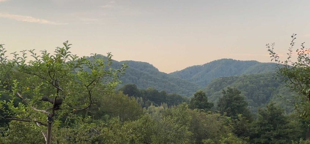 Teren de vânzare - Băile Olănești, sat Cheia - 1.864 mp