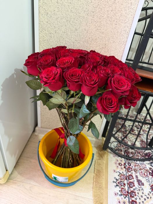 Роза 51 шт красный цветы