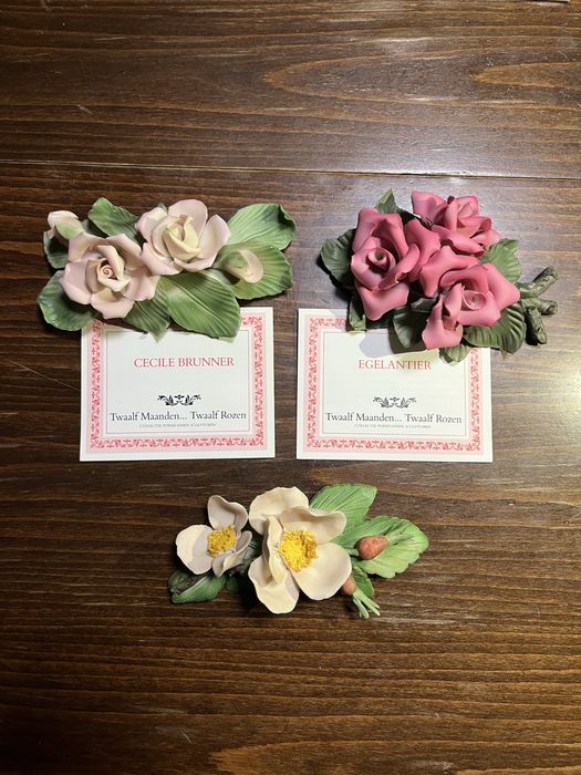 Колекция от 12 порцеланови рози,Capodimonte,Italy