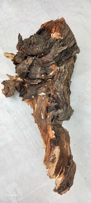 Декорация за терариум