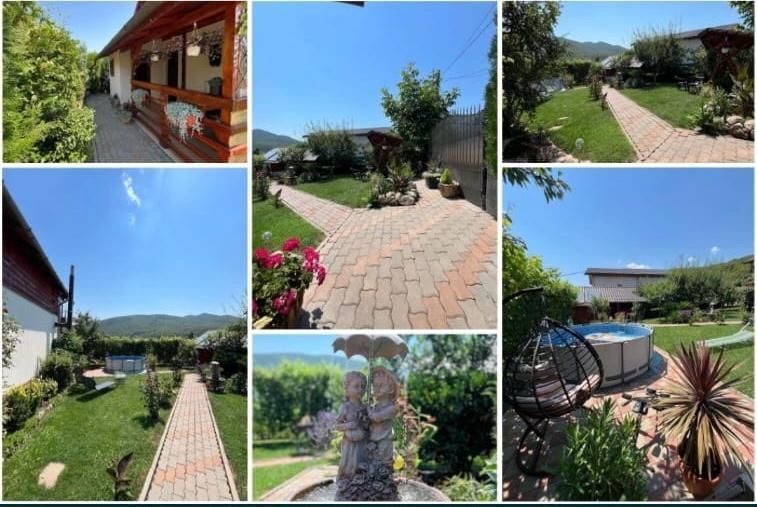 Loc perfect de sãniuș, plimbări prin pădure la  câteva minute de oraș