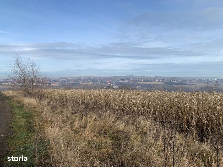 Teren intravilan de vânzare | Cajvana | 7.800 mp
