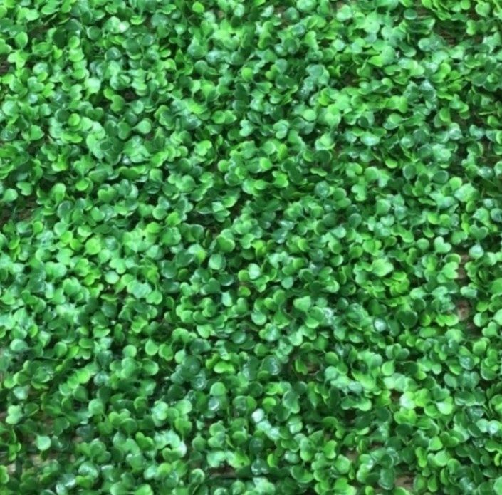 Искусственный самшит 60*40