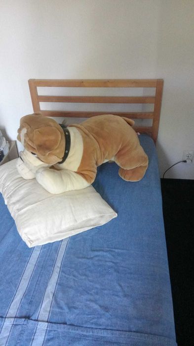 Jucarie catel buldog plus XXL (plush)