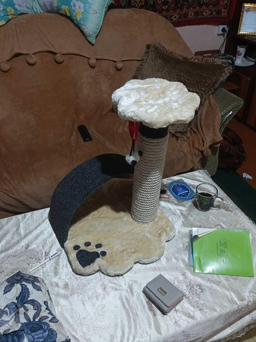 Когтеточка для котят