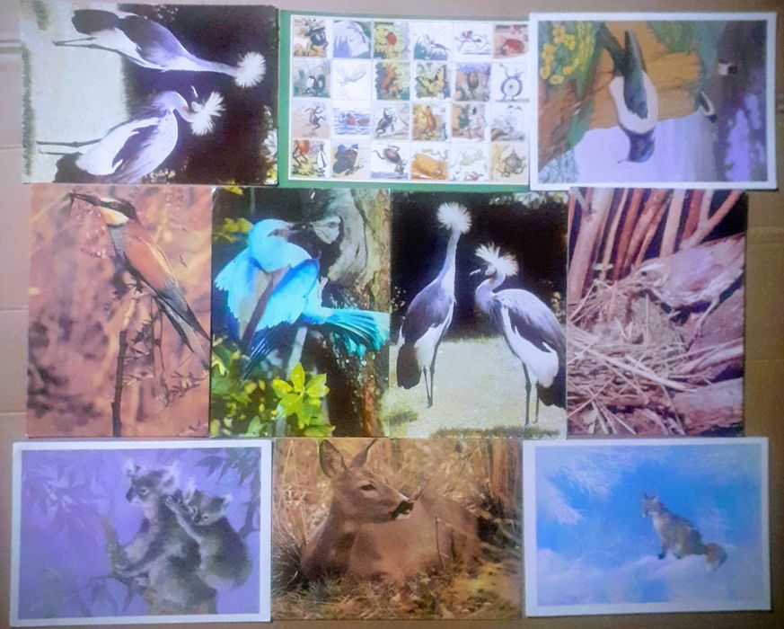 Картички от соца за колекционери