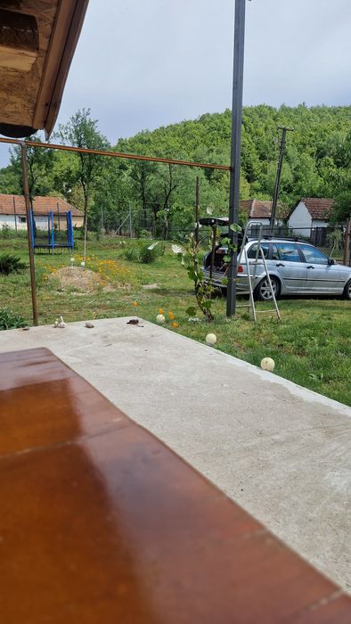 Grădină de vânzare.