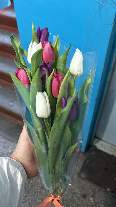 Тюльпаны 700 тенге доставка