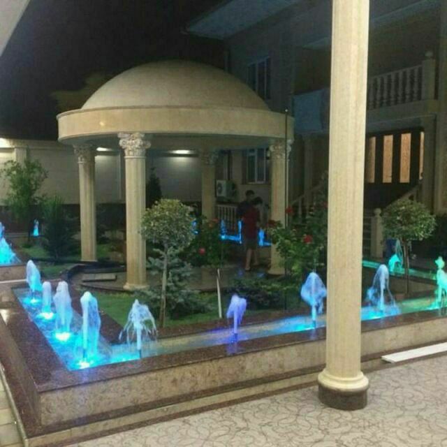 Готовый живой в ташкенте gazon tayyor gazon