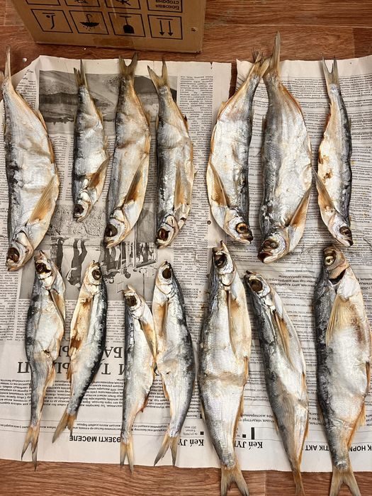Продам вяленые рыбы рыбец ,чехня