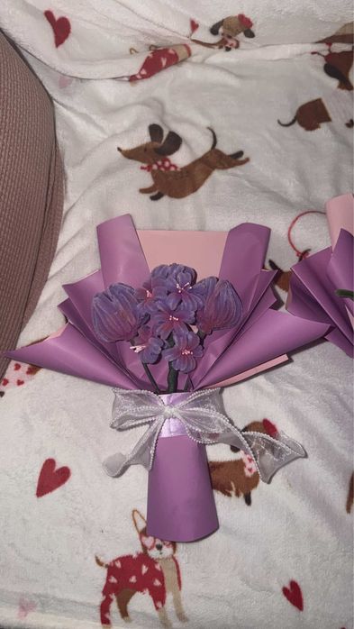 Buchete sarma plusata