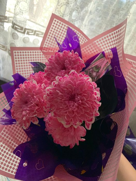 2 цветы Красивые