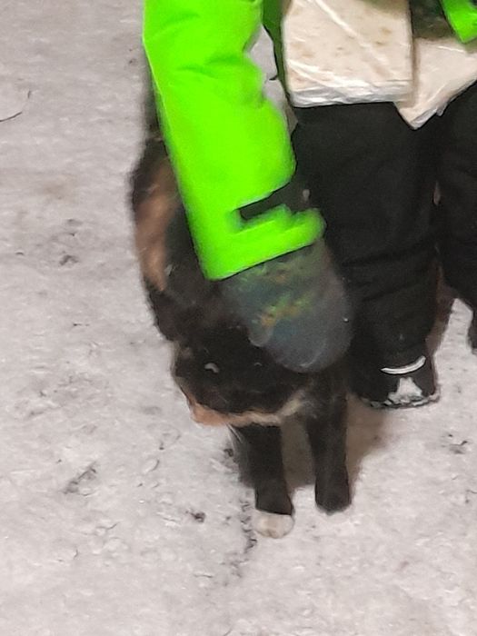 Пожалуйста срочно помогите