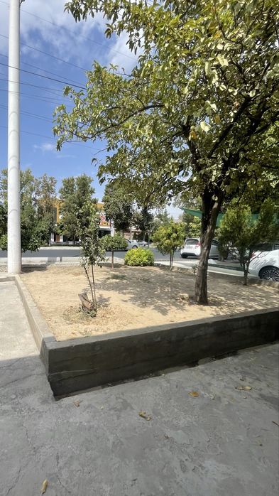 Земля для бизнеса в аренду