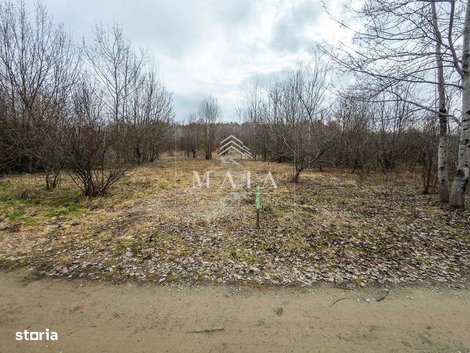 Teren extravilan 2200 mp, zona Calea Poplăcii, la 5 min de Valea Aurie