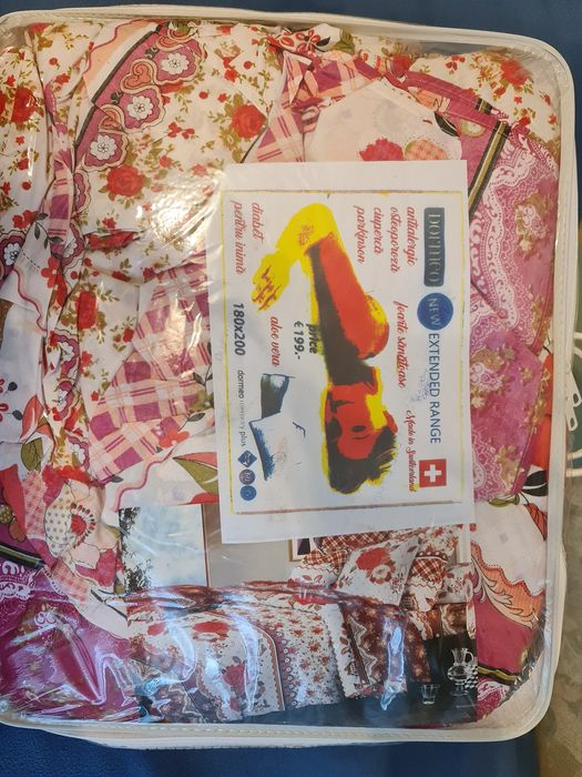 Plapuma profesionala Elvetia