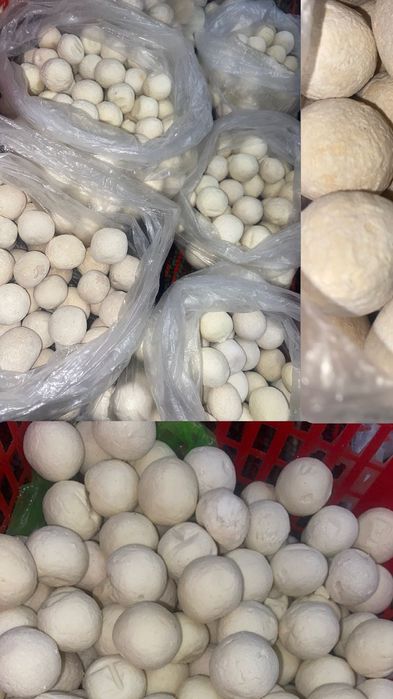 Курт , қолдың майы мен құрты Алматы