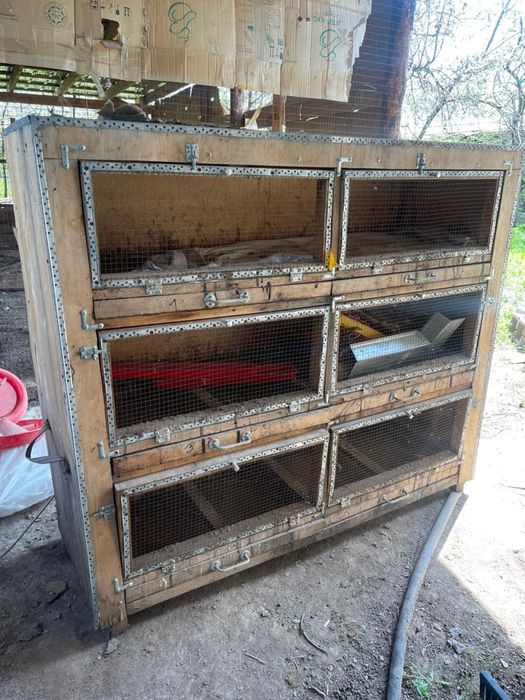 Бурдеры для цыплят