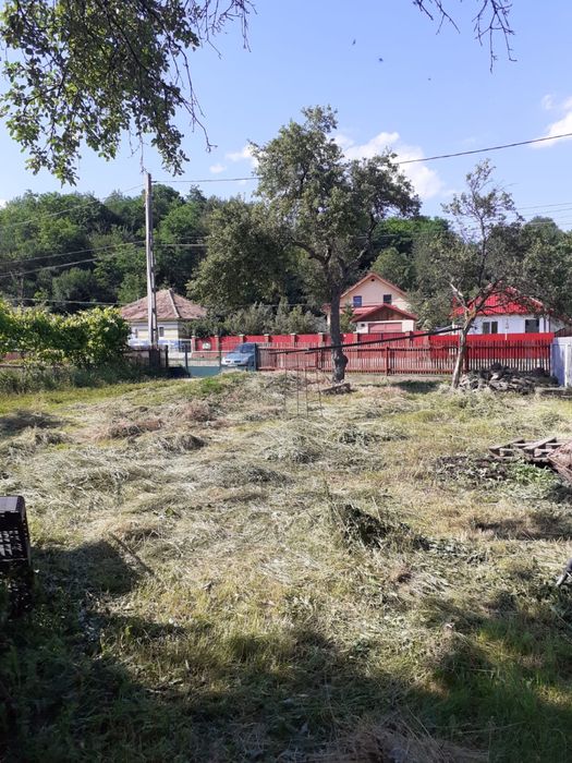 Teren de vanzare, Gazarie, Moinesti