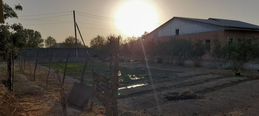 Hovli sotiladi 12 sotx