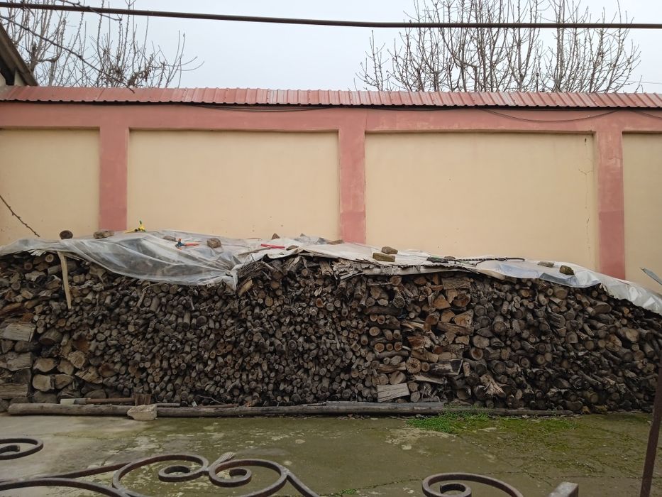 Tayyor qurigan oʻtinlar