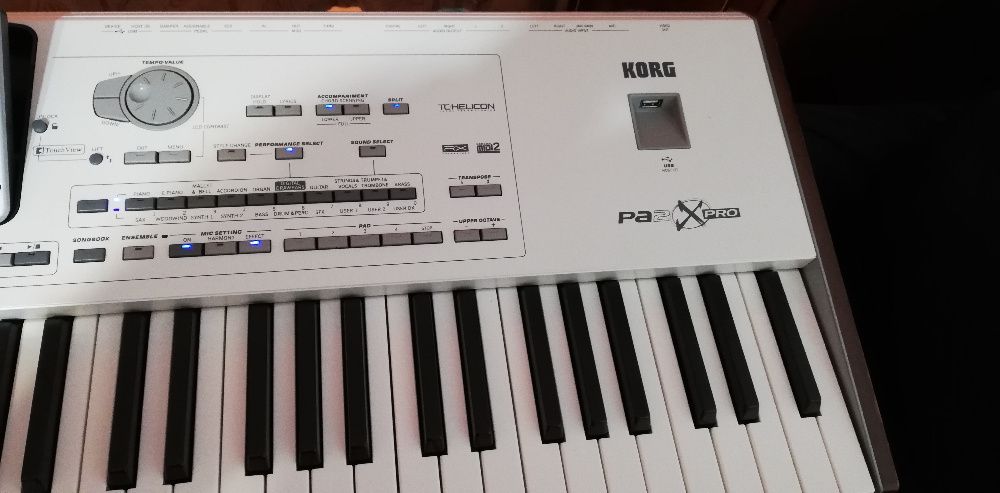 Vand Korg PA2x Pro, memorie 256