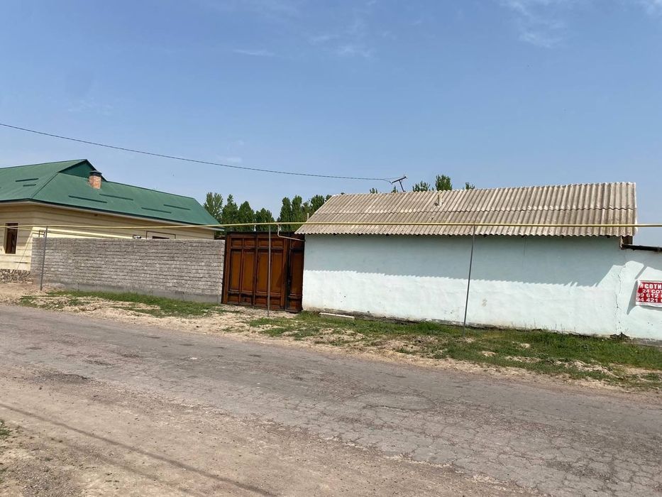 Chorva joyllari mol qoy boqishga